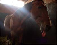 uׁ[vƐoďo}ĂꂽHuzbgV[Nbgv