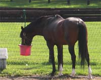 A3x܂ĂĂnugEJCeCI[v