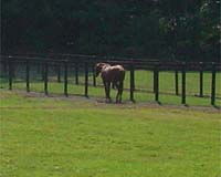 ݂肵́ui^gbv[hvBeCGIyI[̃CoƂāAlC𕪂Ăn