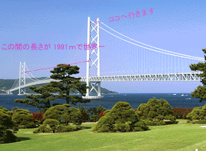 ̎ʐ^́wqrx̒뉀B̂łB